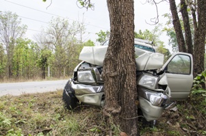 car crashed into tree