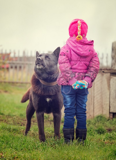 New dog bite laws in Tennessee 
