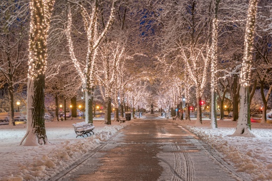 icy winter road with holiday lights