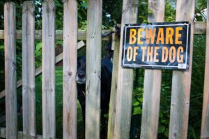 What Happens if a Postal Worker Is Bitten by a Dog While Delivering Mail?
