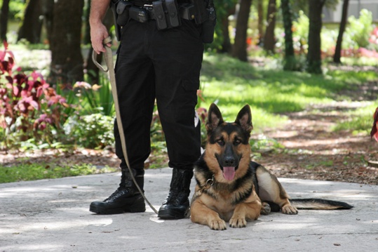 police officer with police dog