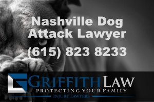 Nashville TN dog bite attorneys
